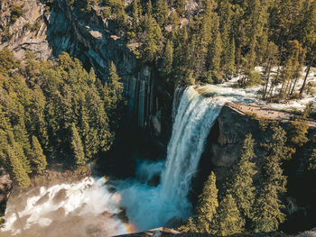 Scenic view of waterfall in forest