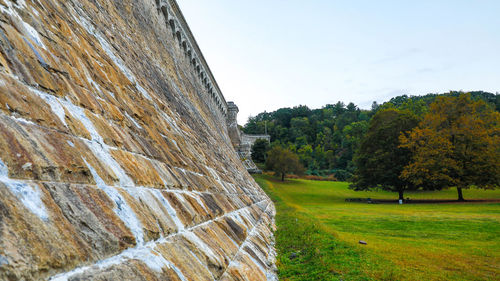 Trees on field against clear sky