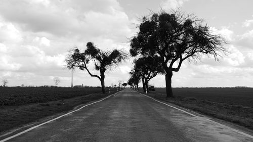 Empty road amidst trees on field against sky