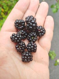 Midsection of person holding fruit