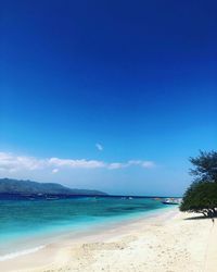 Scenic view of beach against blue sky