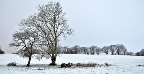 Bare trees on snow covered landscape against sky