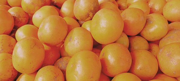 Javanese oranges