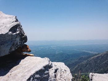 Dog resting on rock at mountain against sky