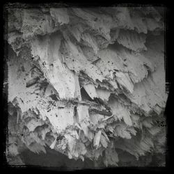 Full frame shot of green leaves