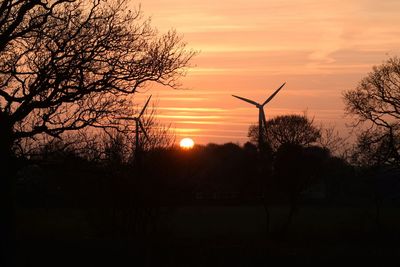 Silhouette of trees at sunset