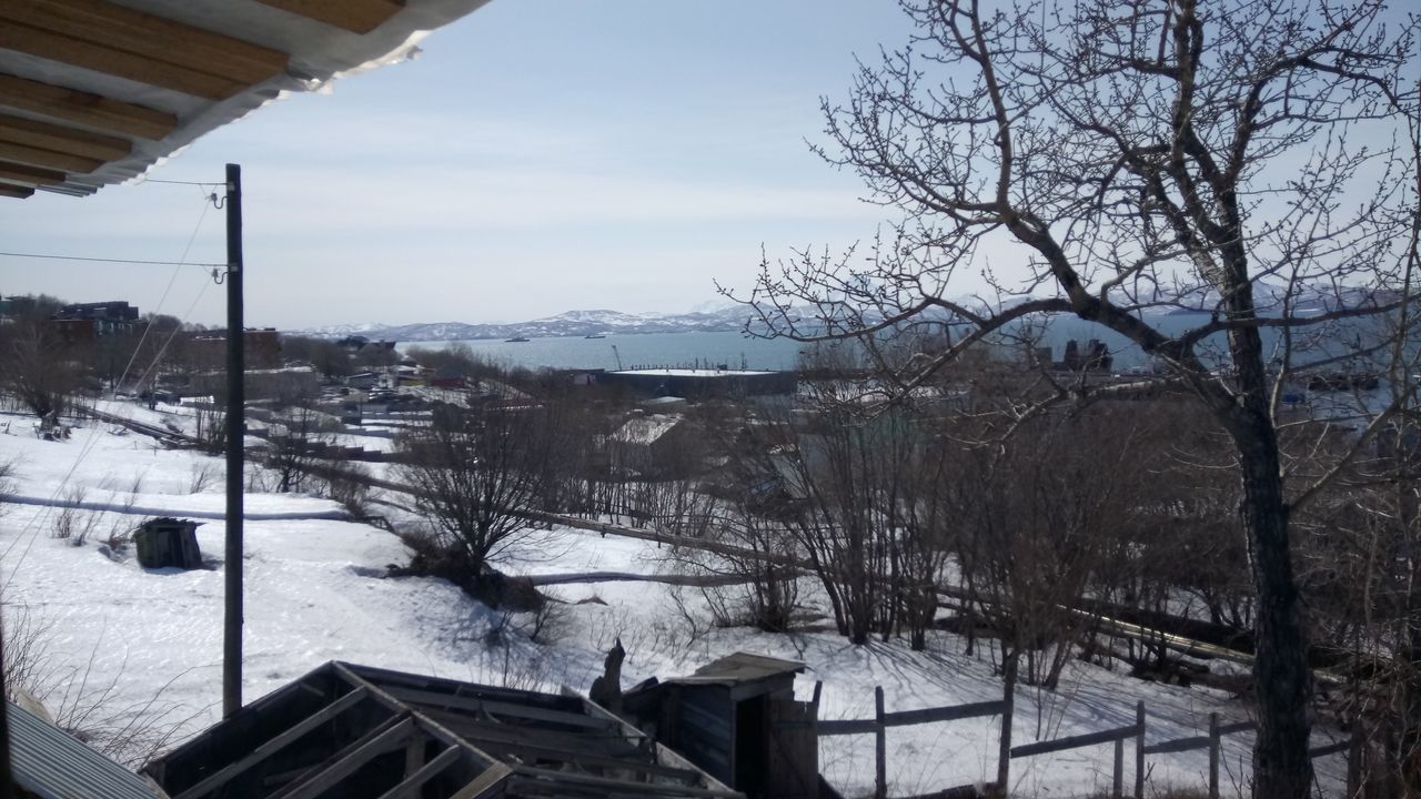 VIEW OF BARE TREES IN WINTER