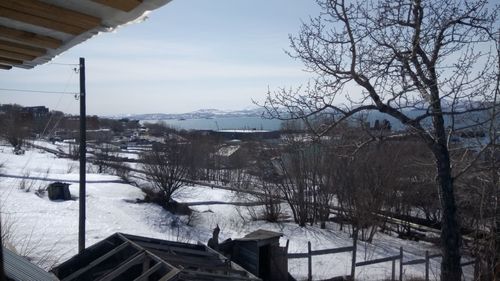 Bare trees on snow covered landscape against sky