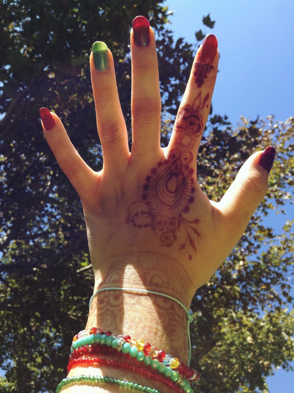 human hand, human body part, human finger, one woman only, palm, tree, one person, only women, adults only, people, day, women, human arm, outdoors, adult, holi