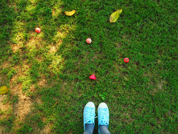 Low section of person standing on grassy field