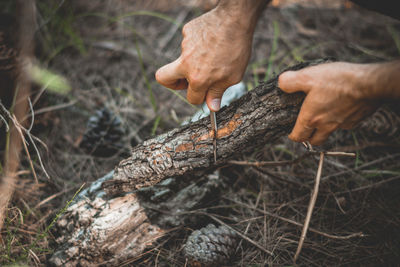 Cropped hand cutting firewood with knife in forest