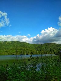 Scenic view of landscape against blue sky