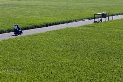 People walking on grassy field