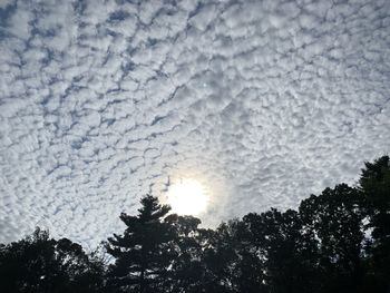 Low angle view of silhouette trees against sky during sunset