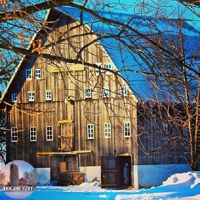 architecture, building exterior, built structure, blue, house, bare tree, snow, residential structure, cold temperature, sunlight, residential building, winter, sky, window, old, day, tree, outdoors, clear sky, no people