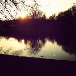 Reflection of trees in water at sunset