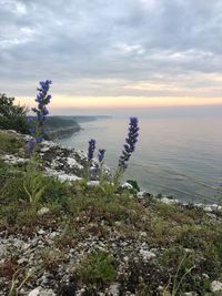 Scenic view of sea against sky during sunset