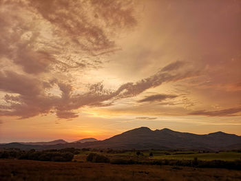 Scenic view of field against sky during sunset