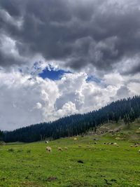 Scenic view of landscape against sky