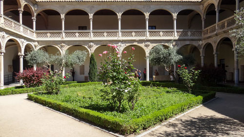 Potted plants by historic building