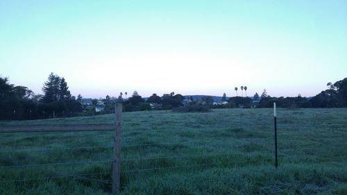 Scenic view of field against clear sky