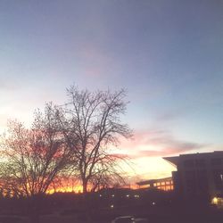 Bare trees against sky at sunset