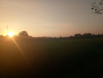 Scenic view of field against clear sky during sunset