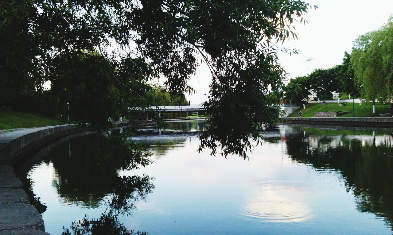 water, reflection, tree, lake, tranquility, waterfront, tranquil scene, pond, river, nature, built structure, scenics, standing water, beauty in nature, clear sky, architecture, growth, outdoors, day, no people