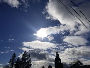 Low angle view of trees against sky