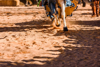 Low section of people running on ground