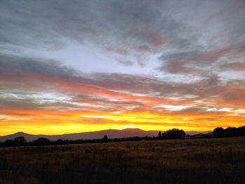 Scenic view of field against sky during sunset