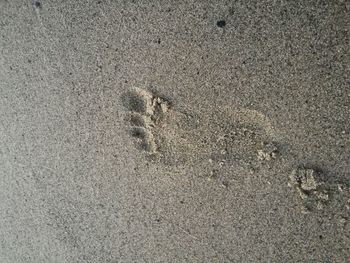 High angle view of footprints on sand at beach