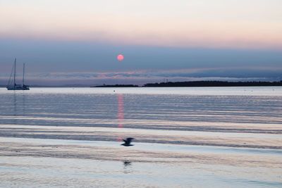 Scenic view of sea against sky during sunrise 