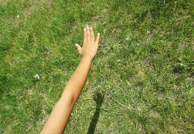 High angle view of person hand on grass