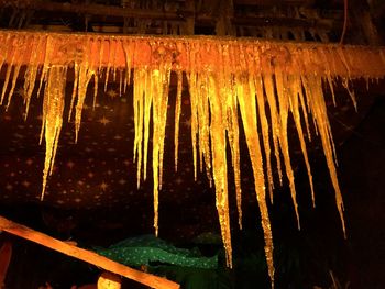 Low angle view of icicles at night