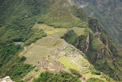 Aerial view of staircases on green mountain at machu picchu