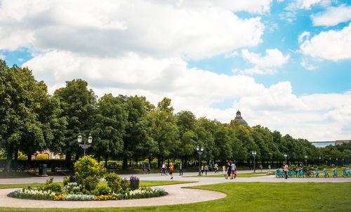 Trees in park against cloudy sky