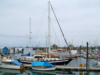 Boats moored in harbor