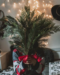 View of christmas tree