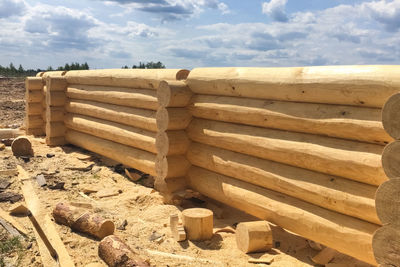 Stack of logs in forest against sky