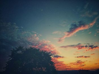 Low angle view of silhouette trees against sky at sunset