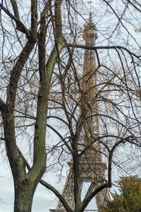 Low angle view of bare trees against sky