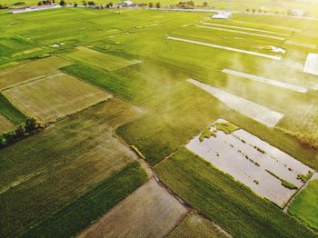 High angle view of agricultural field