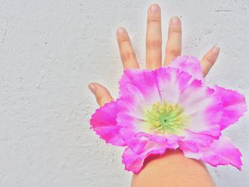 Close-up of hands