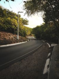Empty road along trees and plants in city