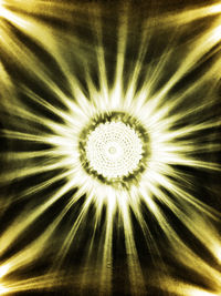 sunlight