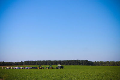 People with agricultural machinery on peanut field against clear blue sky
