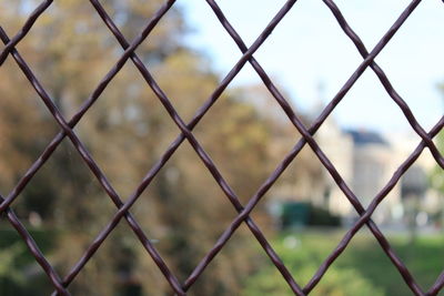 Close-up of chainlink fence with trees in background