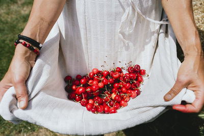 Woman holding white apron full of cherries, partial view