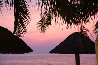 Scenic view of palm trees on beach during sunset